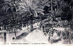 1382- Hammam-R'Hira - Jardins de l'hotel